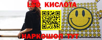 индика Кандалакша