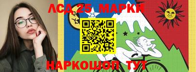 индика Кандалакша