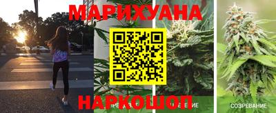 индика Кандалакша
