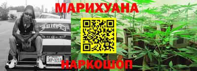 индика Кандалакша
