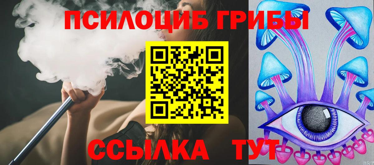 Лесосибирск  Псилоцибиновые грибы мухоморы  Вход с VPN 